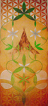 organicgeometry