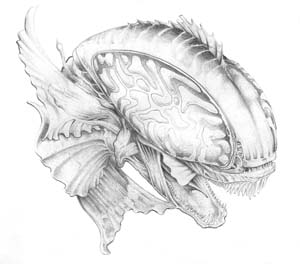 devilfish