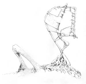 rootsculpt