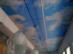 daysky6