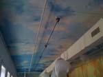 daysky7