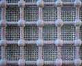 grid