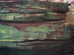 greenpaintwood