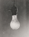 Lightbulb